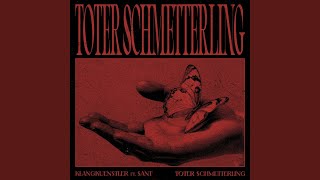 Toter Schmetterling [upl. by Pavkovic]