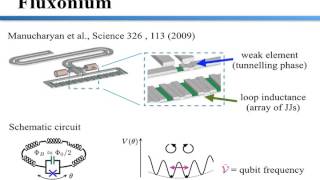 Coherent dynamics in long fluxonium qubits [upl. by Aholla]