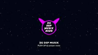 PUSH UPdj samsam remixZG DSP MUSIX [upl. by Mukund]