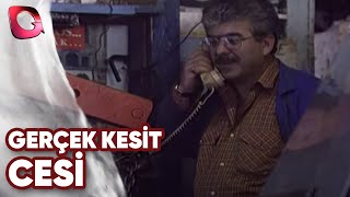 GERÇEK KESİT  CESİ [upl. by Ahswat]