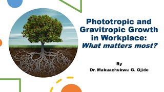 Phototropic and Gravitropic Growth in Workplace  Which is more important [upl. by Norrad]