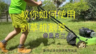 使用割草机割草，新西兰生活 [upl. by Ethbun]