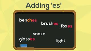 Spelling Rules  Adding es to Words  EasyTeaching [upl. by Nadaba976]