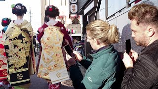 A Stroll Through Minamiza amp Miyagawacho’s Geisha District in Kyoto  京都、宮川町～南座を歩く美人舞妓さんと外国人観光客、海外の反応 [upl. by Glory206]