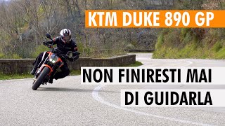 KTM DUKE 890 GP  NON FINIRESTI MAI DI GUIDARLA [upl. by Asseralc]