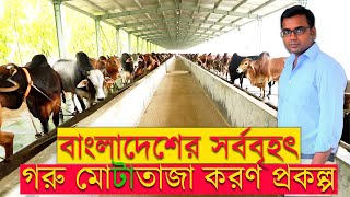 ১২০০ বিঘা জমিতে বাংলাদেশের সবচেয়ে বড় গরু মোটাতাজা খামার আলমগীর রেঞ্চ রংপুর। ৬০০ গরুর বিশাল খামার। [upl. by Dikmen]