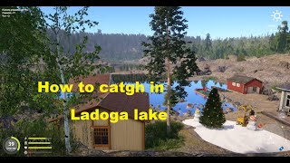 Russian fishing4 2022 rf4 how to catgh in Ladoga lake [upl. by Ssecnirp]