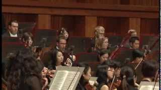 Brahms Symphony No 4  2nd Movement [upl. by Eednim705]