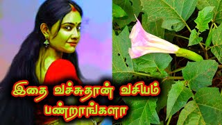 vasiyam seivathu eppadi in tamilkali manthirigam [upl. by Suoirrad]