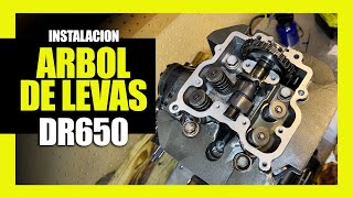 El método definitivo para instalar el árbol de levas y ajustar válvulas SUZUKI DR650 [upl. by Ahsyekal]