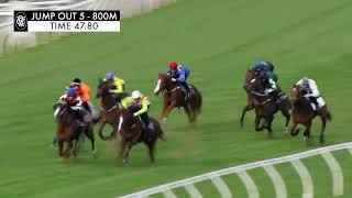 Flemington Jump Outs 20 Sep 2024 Jump Out 5 [upl. by Cocke]