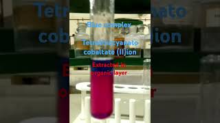 Ammonium thiocyanate test for Cobalt IIionclass 12 chemistryexperiment [upl. by Atirihs]