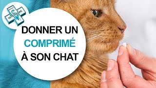 Tuto véto Comment donner un médicament à son chat  Conseils vétérinaires [upl. by Akcire]