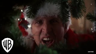 National Lampoons Christmas Vacation  Squirrel Scene  Warner Bros Entertainment [upl. by Aneras]