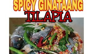 Spicy Ginataang TilapiaSinanglayBicol RecipeTita Chabells [upl. by Payson]