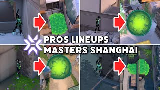 All Viper lineups used by pros in VCT 2024 Masters Shanghai【 VALORANT 】 [upl. by Alexina754]