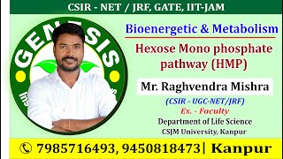 Hexose Mono phosphate pathway HMP CSIRUGCNETJRF LIFE SCIENCEGATEDBTICMR [upl. by Mikey]