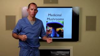 Medicinal Mushrooms and Cancer [upl. by Eissahc326]