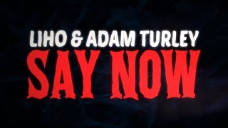 LIHO Adam Turley  Say Now Official Lyric Video [upl. by Jarid]