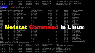 how to use netstat command netstat command explained with example troubleshooting command [upl. by Binnie]