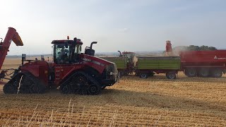 Ernte Gerste 2024  4 Claas Lexion 2 Case Quadtrac pt 2  Uncut Raw Sound [upl. by Goff]