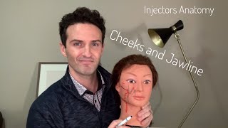 Injectors Anatomy Safer Techniques for Cheeks and Jawline [upl. by Odanref]