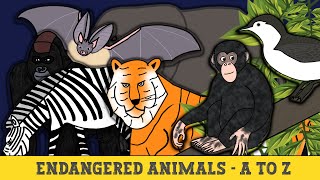 Endangered Animals A to Z [upl. by Hwu]