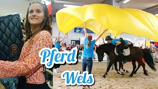 Pferd Wels 🐴 Meet amp Greet mit Bernd Hackl 🤠 FMA  ein Tag auf der Pferdemesse  Shopping amp Pferde ❤️ [upl. by Gean720]