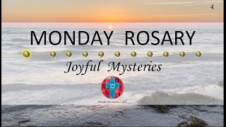 Monday Rosary • Joyful Mysteries of the Rosary 💙 March 25 2024 VIRTUAL ROSARY  MEDITATION [upl. by Nosnarb]