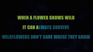 Wildflowers Karaoke by Dolly Parton [upl. by Acinomed]