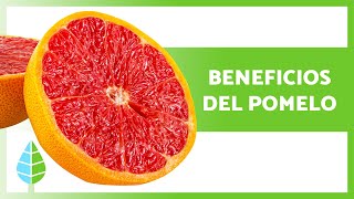 BENEFICIOS del POMELO 🍊✅  Propiedades de la TORONJA Cómo Comerla y Contraindicaciones [upl. by Namlaz]