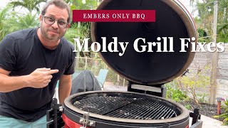 How to Clean Mold in the Kamado Joe Grill [upl. by Zebapda434]