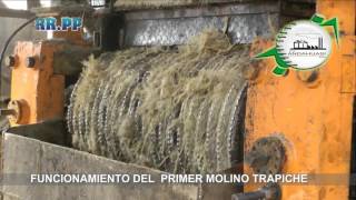 FUNCIONAMIENTO DEL PRIMER MOLINO TRAPICHE EN HD [upl. by Arrahs835]