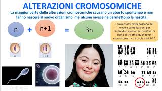 ALTERAZIONI CROMOSOMICHE [upl. by Geri523]