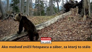 Ako medveď zničil fotopascu a záber za ktorý to stálo 🐻🗡🎥 [upl. by Ginevra]