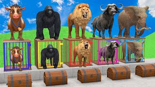 5 Giant Duck Cow Elephant Lion Gorilla Buffalo Chicken ESCAPE ROOM CHALLENGE Animals Cage Game [upl. by Imelda66]