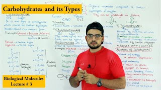 Carbohydrates  A type of biological molecule  Functions and Classification [upl. by Barbee]