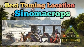 ARK How To TAME A SINOMACROPS In Real Time Step By Step ARK [upl. by Nyladnarb]