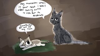 Warrior cats 20 Questions [upl. by Einohtna553]