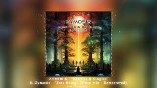 ZYMOSIS  quotRarities and Singlesquot  6 Zymosis  quotZeta Beingquot Flute mix  Remastered  ᴴᴰ [upl. by Ayotnahs389]