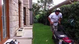 Lawn Mowing Northern Beaches Sydney Pittwater Mowing  How to mow the lawn [upl. by Leanor224]