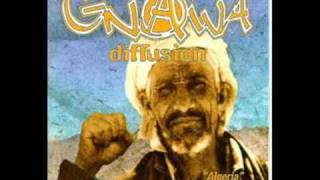 Gnawa Diffusion  Algeria [upl. by Alinoel671]