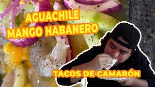 AGUACHILE MANGO HABANERO en CDMX [upl. by Meeks]