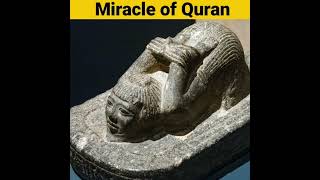 Miracle of Quran [upl. by Goren]