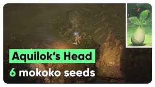 🌱 Lost Ark Mokoko Seed Guide  Aquiloks Head Rethramis [upl. by Nbi]