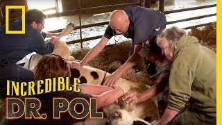 Series Trailer  The Incredible Dr Pol [upl. by Sammie]