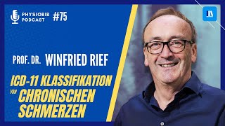 Prof Dr Winfried Rief  ICD11 Klassifikation von chronischen Schmerzen  PhysioBib Podcast 75 [upl. by Phira]