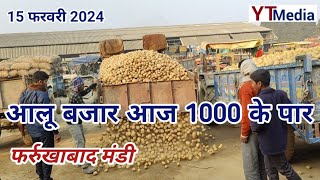 15 February 2024 फर्रुखाबाद आलू का बजार गया आज 1000 के पार  Farrukhabad mandi aalu ka bhav today [upl. by Nehtan]