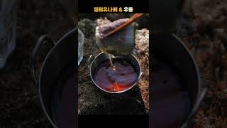 겹겹이 쌓여 있는 소고기 🥩🔥 찬바람 불때는 밀푀유나베 🍲🥬  캠핑한끼 소고기 밀푀유나베 우동 [upl. by Hitoshi]