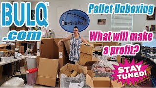 Bulqcom Pallet Unboxing Will I make a profit Stay tuned  Some Strange Stuff Online Reselling [upl. by Kirstin442]